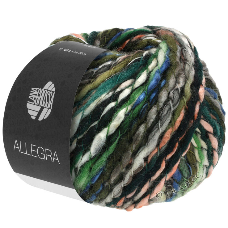 Lana Grossa ALLEGRA | 01-gris/rosa/azul/verde/blanco
