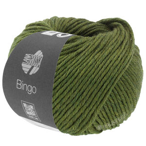Lana Grossa BINGO Mélange (We Care) | 1013-verde oliva