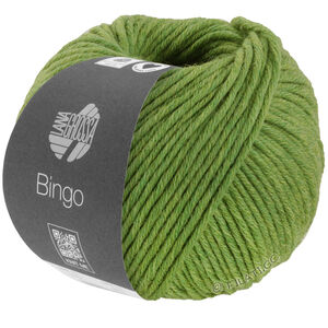 Lana Grossa BINGO Mélange (We Care) | 1036-verde mezcla