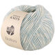Lana Grossa BOTTONI | 06-turquesa pastel/color crudo