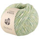 Lana Grossa BOTTONI | 11-verde pastel