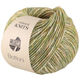 Lana Grossa BOTTONI | 12-marrón verde/crema