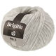 Lana Grossa BRIGITTE NO. 2 | 13-gris plata