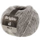 Lana Grossa BRIGITTE NO. 2 | 70-gris claro