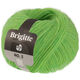 Lana Grossa BRIGITTE NO. 2 | 75-verde primavera