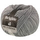 Lana Grossa BRIGITTE NO. 2 Vintage | 209-gris claro mezcla