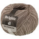 Lana Grossa BRIGITTE Silkdream | 04-gris beige