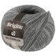 Lana Grossa BRIGITTE Silkdream | 15-gris