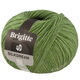 Lana Grossa BRIGITTE Silkdream | 19-verde
