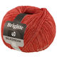 Lana Grossa BRIGITTE Silkdream | 23-terracota