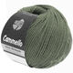 Lana Grossa CAMMELLO | 20-verde reseda