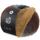 Lana Grossa CANDY | 10-gris claro/gris/gris oscuro/negro/marrón oscuro/gris marrón/camello/azul acero/rojo marrón/palo de rosa/lana blanca