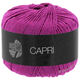 Lana Grossa CAPRI | 25-fucsia