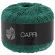 Lana Grossa CAPRI | 28-verde abeto