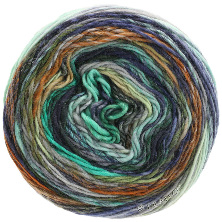 Lana Grossa COLORISSIMO | 01-menta/azul claro/berenjena/gris claro/gris oscuro/marrón