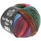 Lana Grossa COOL WOOL Big Color | 4003-verde/octanaje/vino tinto/lila/azul/rojo