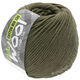 Lana Grossa COTTON MIX 130 (McWool) | 169-caqui