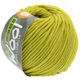 Lana Grossa COTTON MIX 80 (McWool) | 534-pistacho