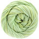 Lana Grossa ECCO | 003-verde claro