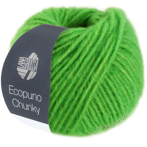 Lana Grossa ECOPUNO Chunky | 133-verde primavera