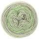 Lana Grossa ECOPUNO Dégradé | 405-verde delicado/vainilla/gris claro