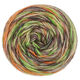 Lana Grossa ECOPUNO Hand-dyed | 54-verde claro/taupe/beige arena/naranja/antracita