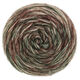 Lana Grossa ECOPUNO Hand-dyed | 55-verde musgo/beige/negro marrón/menta/gris marrón