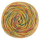 Lana Grossa ECOPUNO Hand-dyed | 58-naranja/gris verde/amarillo canario/vainilla/rojo carmin
