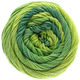 Lana Grossa ELASTICO Dégradé | 707-verde claro/verde medio/verde oscuro/octanaje