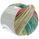 Lana Grossa FELTRO Camino | 844-verde opalo/verde claro/pistacho/herrumbre/palo de rosa/gris marrón