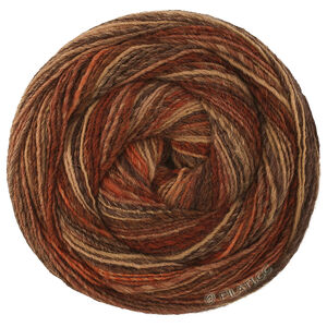Lana Grossa GOMITOLO DISEGNO | 525-borgoña/beige/herrumbre/taupe/marrón oscuro/gris marrón/negro marrón
