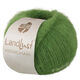 Lana Grossa LANDLUST KIDMOHAIR | 04-verde