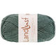Lana Grossa LANDLUST DIE SOCKENWOLLE 50g Mélange | 1611-jade mezcla