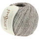 Lana Grossa LANDLUST SOMMERSEIDE Mélange | 104-gris/marrón/beige