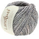 Lana Grossa LANDLUST SOMMERSEIDE Mélange | 114-gris marrón/gris beige mezcla