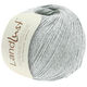 Lana Grossa LANDLUST SOMMERSEIDE | 026-gris hielo