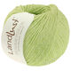 Lana Grossa LANDLUST SOMMERSEIDE | 061-verde primavera