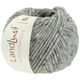 Lana Grossa LANDLUST WINTERWOLLE Tweed | 104-gris verde mezcla