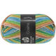 Lana Grossa MEILENWEIT 6-FACH 150g Cosima | 9623-