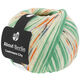 Lana Grossa MEILENWEIT 100g Cashmere City (ABOUT BERLIN) | 877-