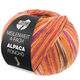 Lana Grossa MEILENWEIT 100g Alpaca Poncho | 2723-naranja/fucsia/crema/brezo/marrón