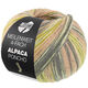 Lana Grossa MEILENWEIT 100g Alpaca Poncho | 2724-gris plata/gris claro/gris oscuro/oliva claro/beige arena