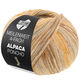 Lana Grossa MEILENWEIT 100g Alpaca Poncho | 2726-beige arena/taupe/marrón/beige claro/caramelo