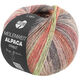 Lana Grossa MEILENWEIT 100g Alpaca Print | 2105-
