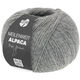 Lana Grossa MEILENWEIT 100g Alpaka | 2014-gris