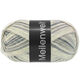 Lana Grossa MEILENWEIT 100g Black Denim Mix | 4656-gris plata/color crudo/gris claro/gris medio/gris oscuro