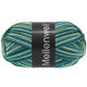 Lana Grossa MEILENWEIT 100g Intenso | 5532-lago verde/verde mar profundo/gris plata/octanaje/azul octanaje/verde octanaje/verde delicado