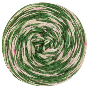 Lana Grossa MEILENWEIT 100g Merino Hand-dyed | 06-verde abeto/verde salvia/color crudo/rosa polvo