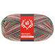 Lana Grossa MEILENWEIT 100g Merino Christmas | 6807-blanco/verde oscuro/marrón oscuro/naranja/verde claro