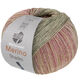 Lana Grossa MEILENWEIT 100g Merino Extrafine Shades | 7232-verde pastel/gris verde/beige claro/beige/rosa vívida